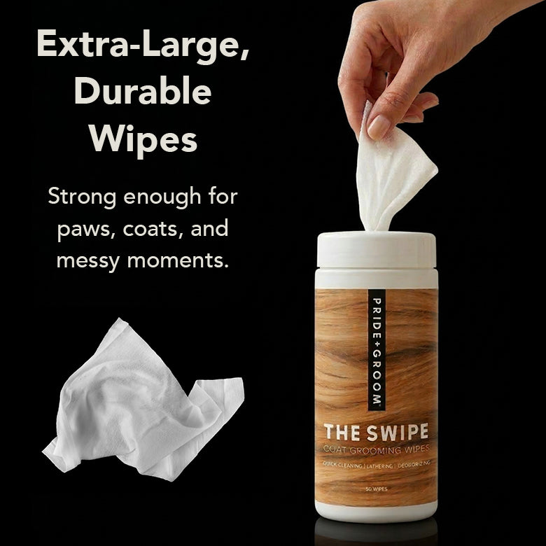 Pride & Groom The Swipe pet grooming wipes with a hand pulling a wipe out of the container on a black background.