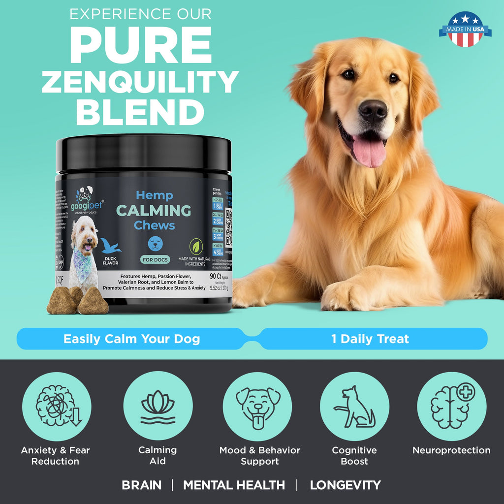 Dog with a jar of Hemp Calming Chews for dogs on a teal background