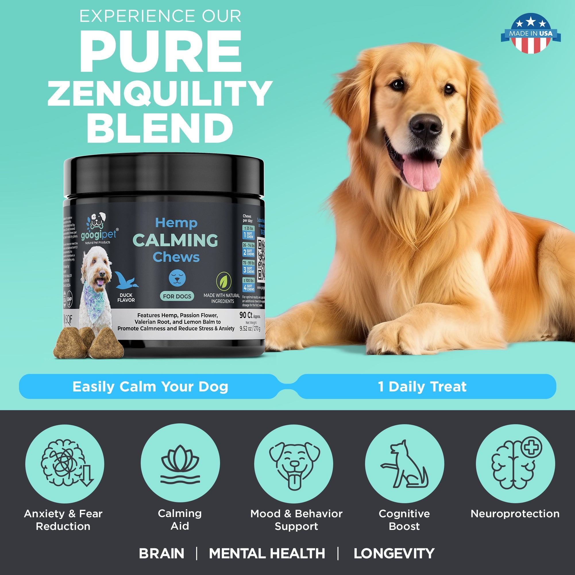 Dog with a jar of Hemp Calming Chews for dogs on a teal background