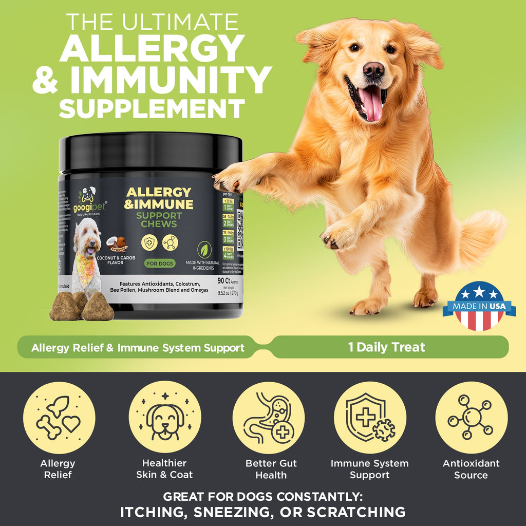 Dog allergy and immunity supplement with a dog on a green background