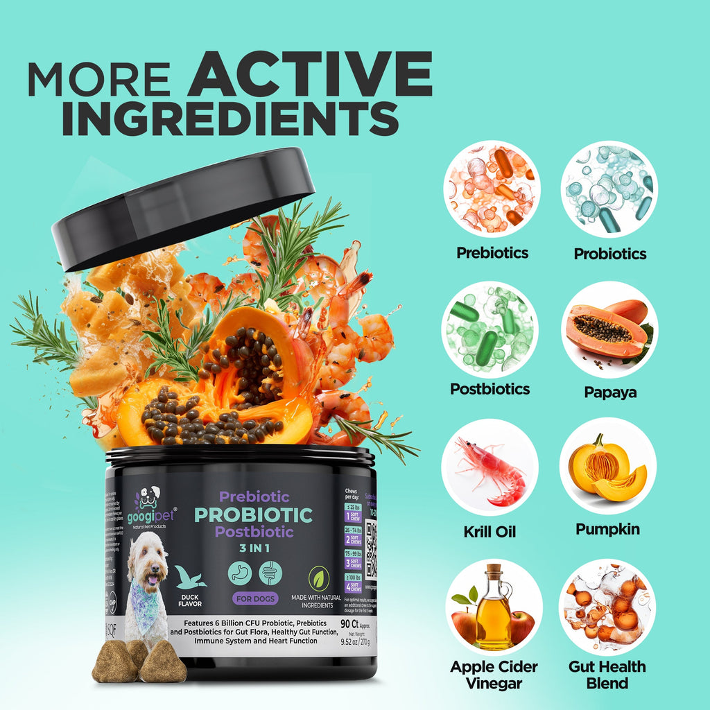 Probiotic supplement container with ingredients listed on a teal background