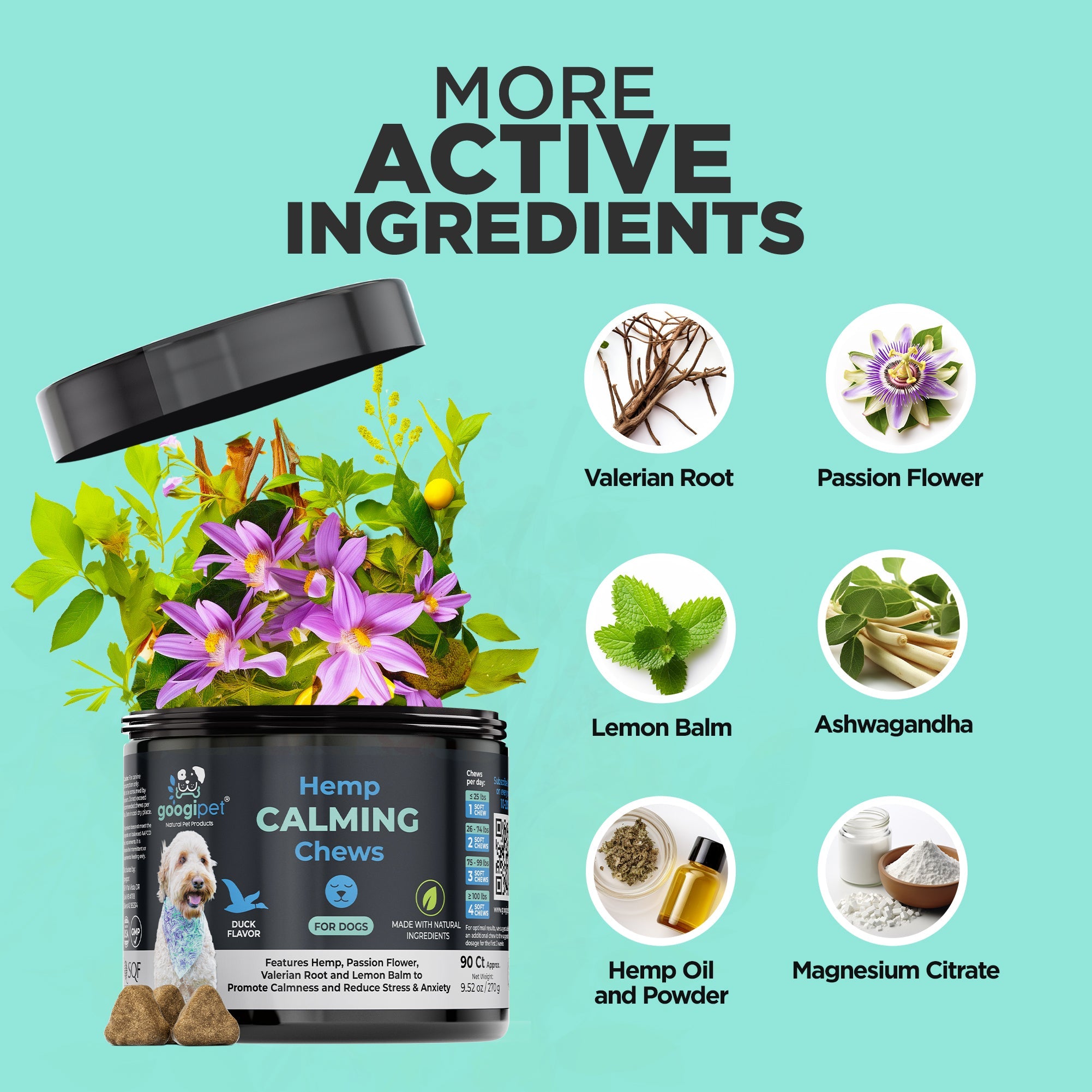 Hemp Calming Chews container with active ingredients on a teal background