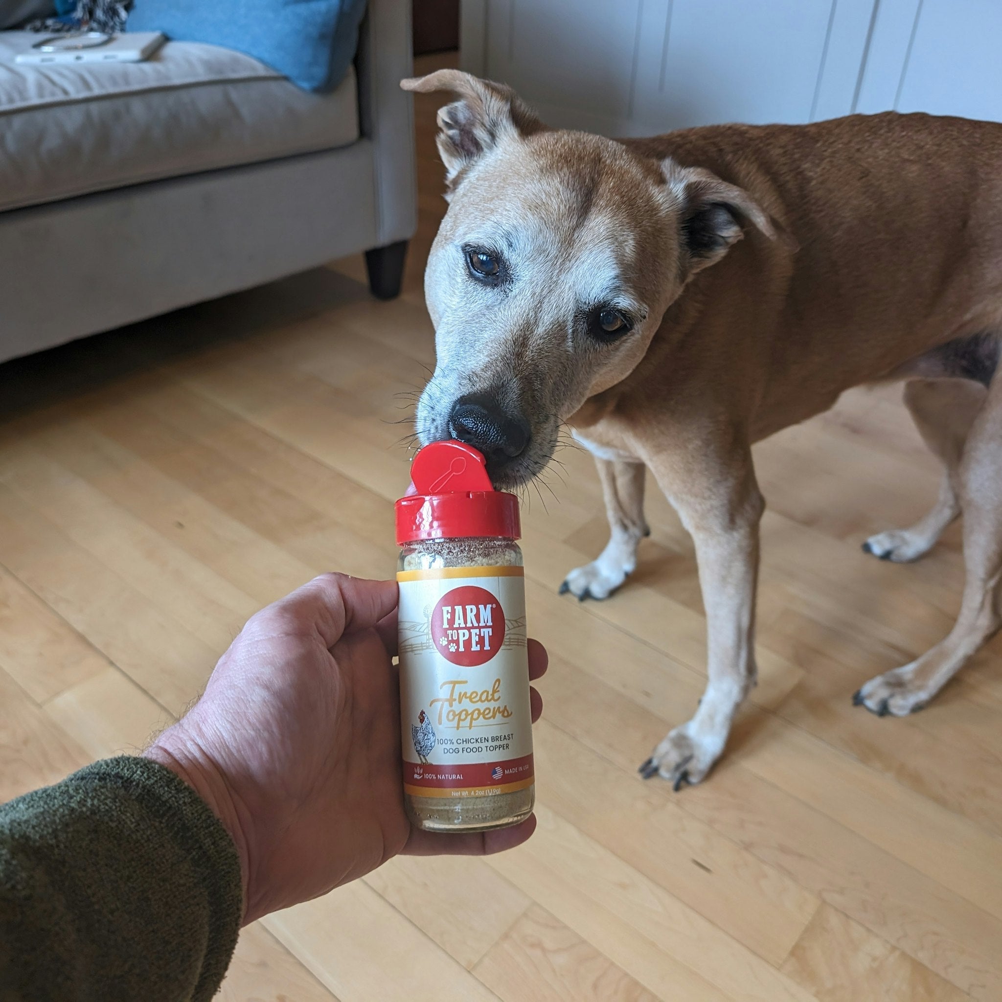 Dog sniffing a bottle labeled 'Farm 4 Pet' on a wooden floor.