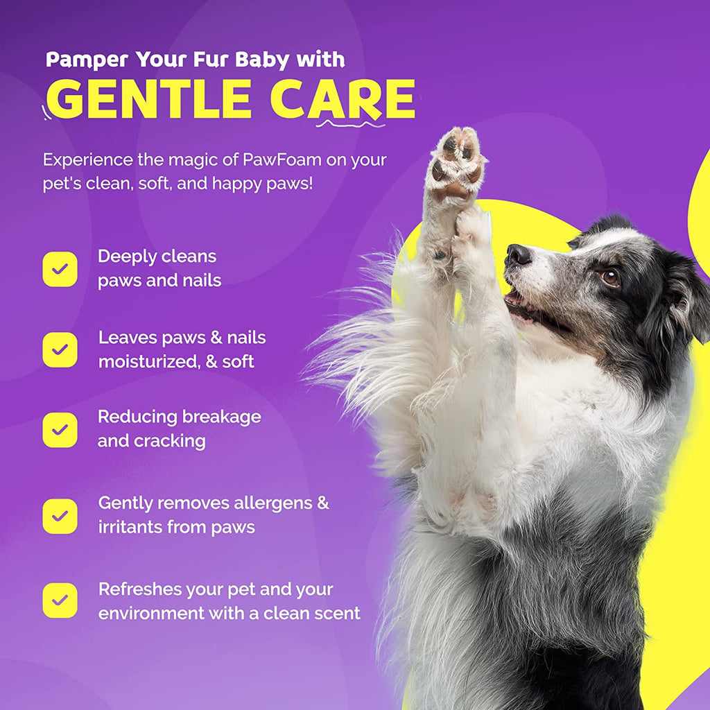 Dog with raised paw on a purple background with text about PawFoam product benefits