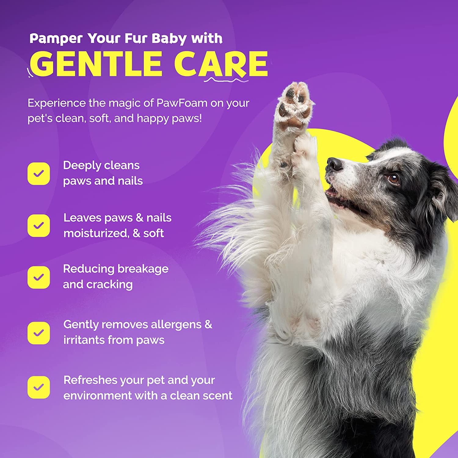 Dog with raised paw on a purple background with text about PawFoam product benefits