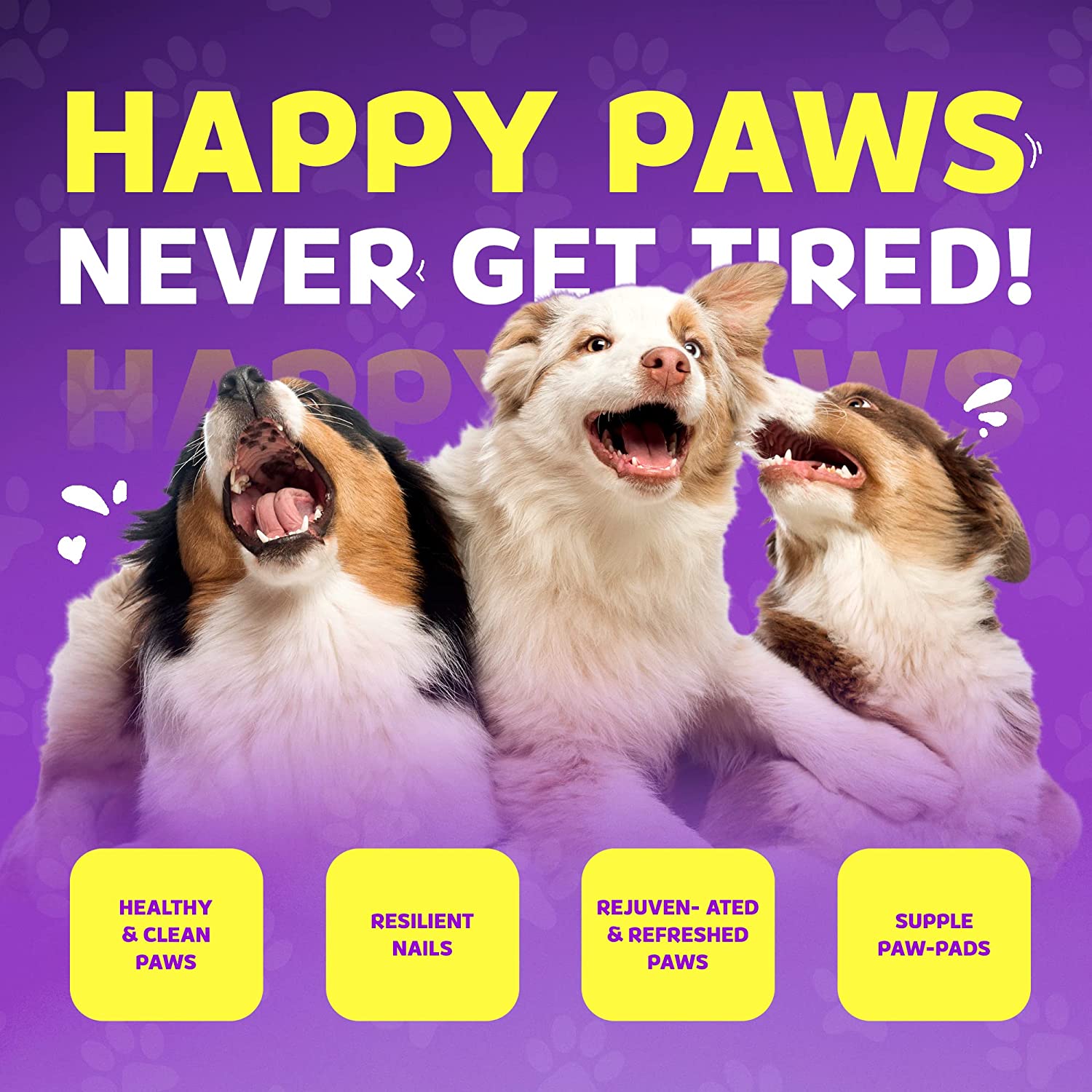 Three dogs with their paws up against a purple background with 'Happy Paws' text and benefits listed.