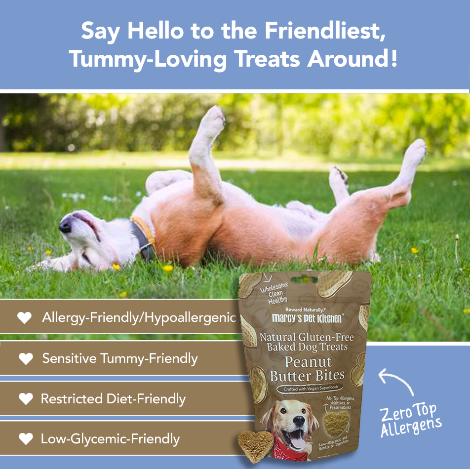 Dog lying on grass with a package of peanut butter bites treats and text about benefits.