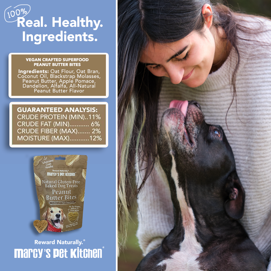 Woman with a dog, with product packaging and text about ingredients and analysis on a blue background