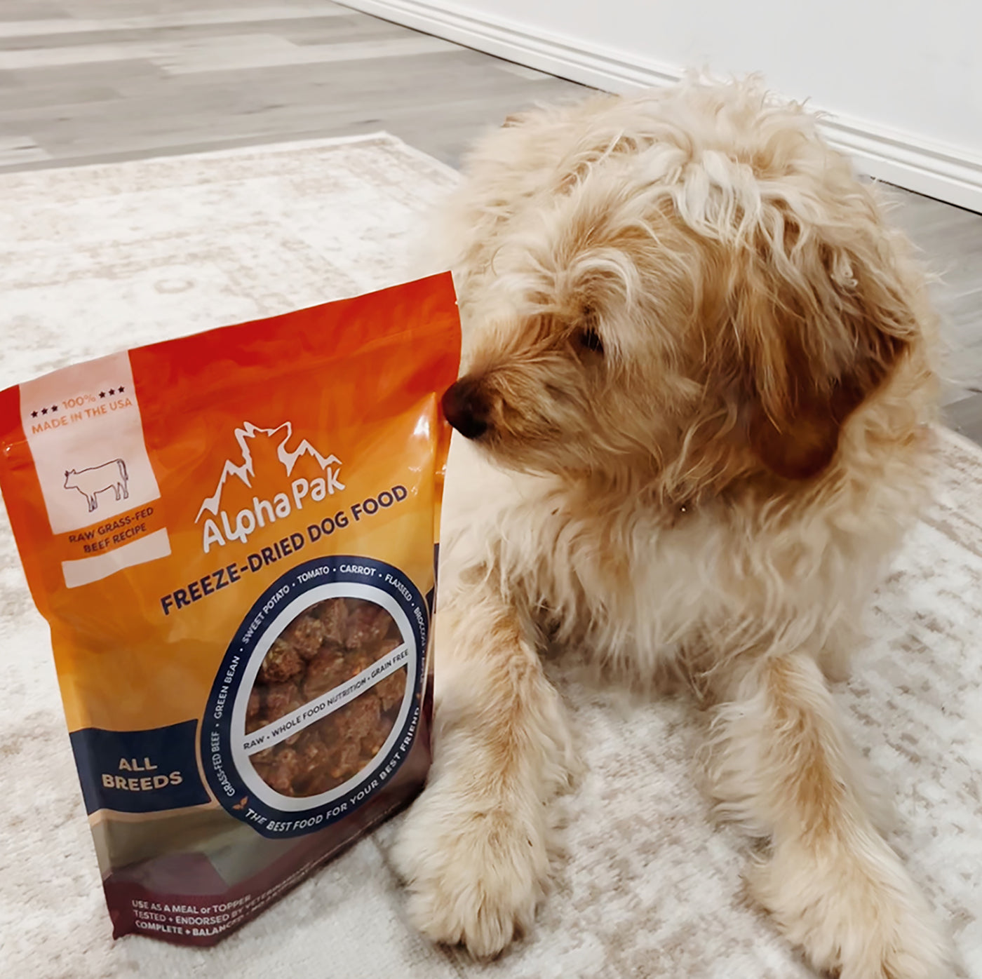 Dog looking at a bag of AlphaPak freeze-dried dog food on a carpeted floor.