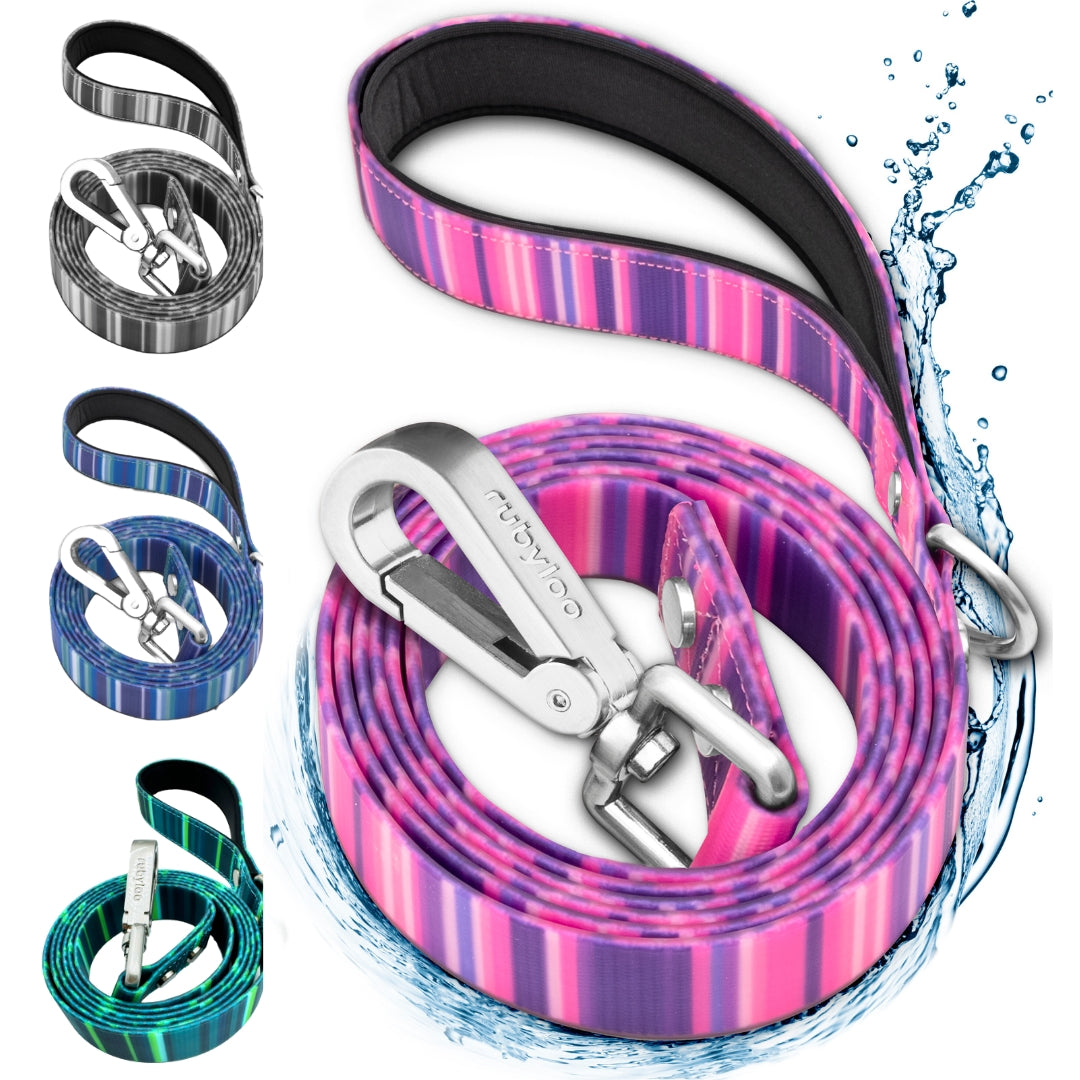 Dog leashes with colorful patterns and metal clips on a white background