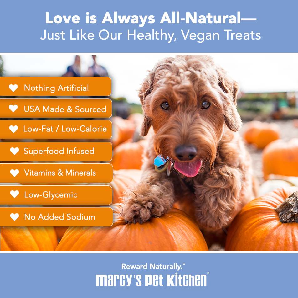 Vegan Pumpkin Dog Biscuits – Marcy’s Pet Kitchen | Whisker House - Whisker House