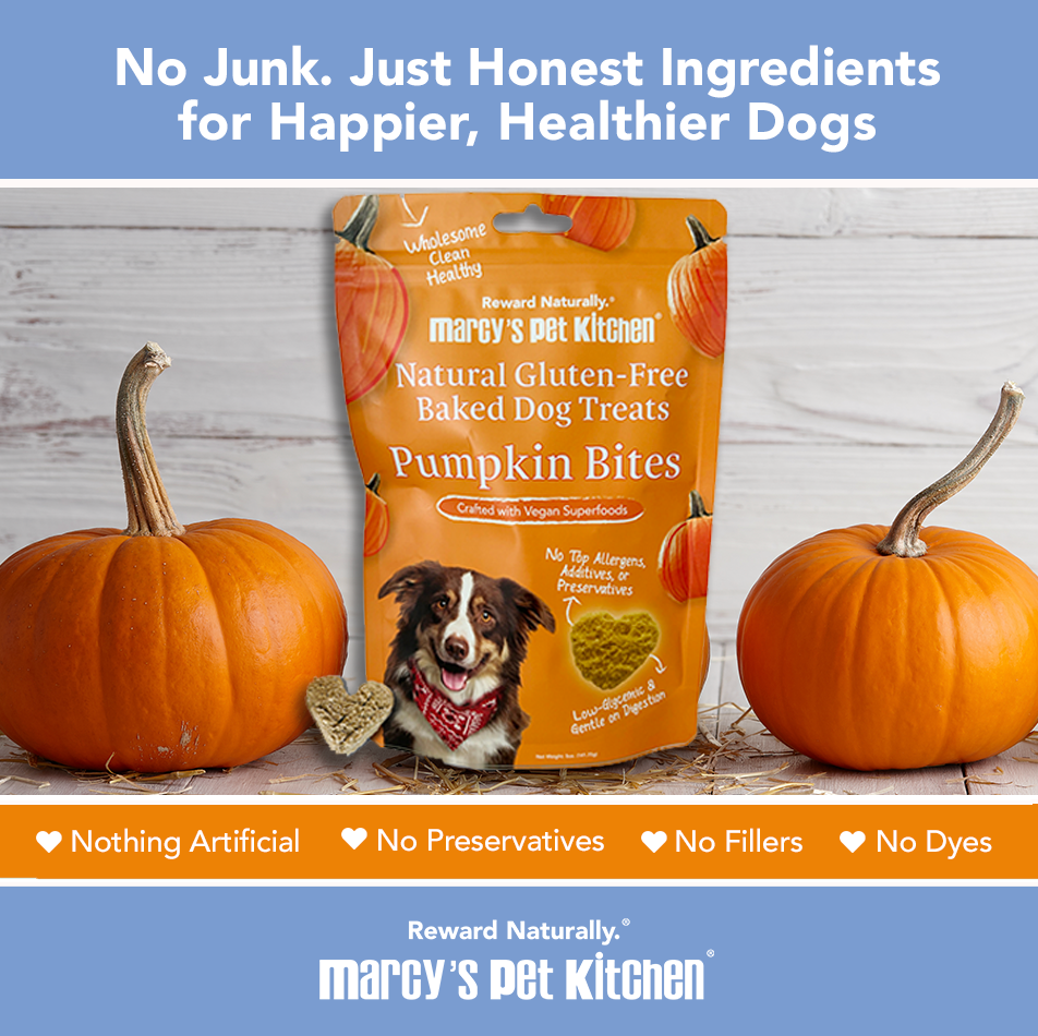 Marcy's Pet Kitchen pumpkin bites packaging with pumpkins on a wooden surface