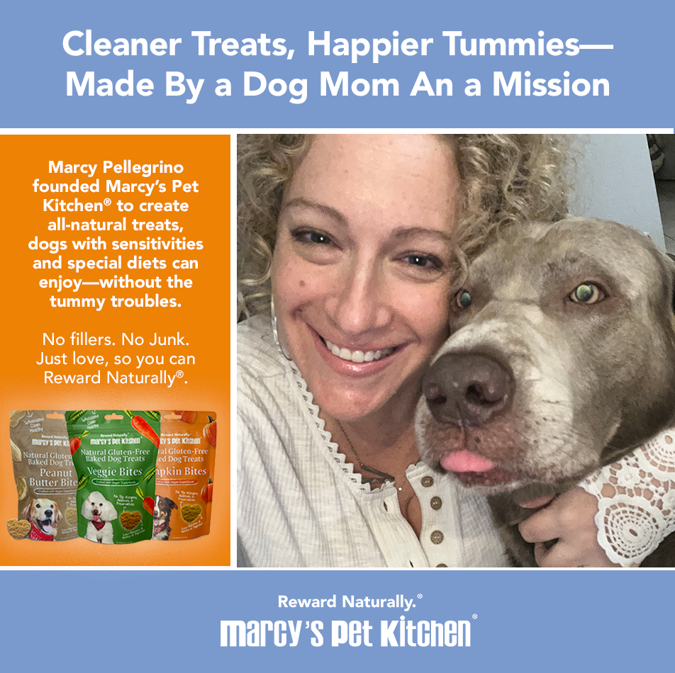 Vegan Pumpkin Dog Biscuits – Marcy’s Pet Kitchen | Whisker House - Whisker House