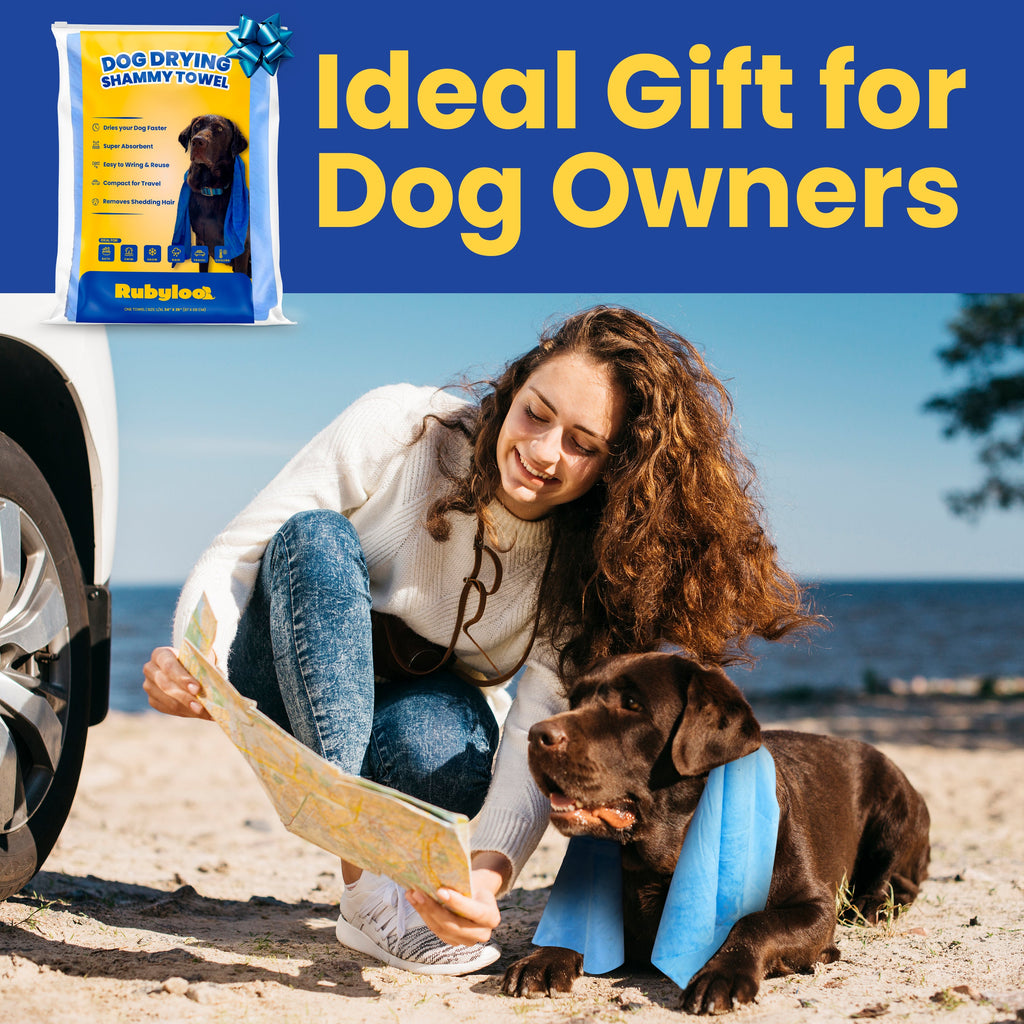 Woman with a dog on a beach, using a Rubyleaf dog drying towel, with text 'Ideal Gift for Dog Owners' above.