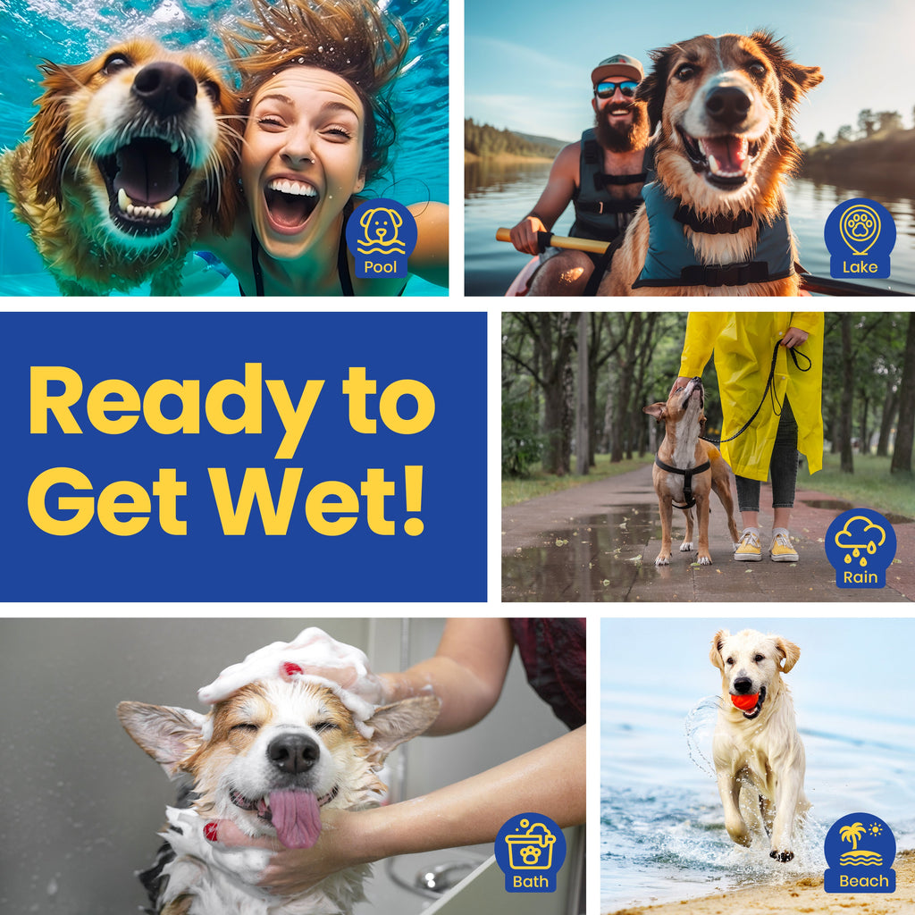 Collage of images with dogs in various activities like swimming, hiking, and playing, with a 'Ready to Get Wet!' text overlay.