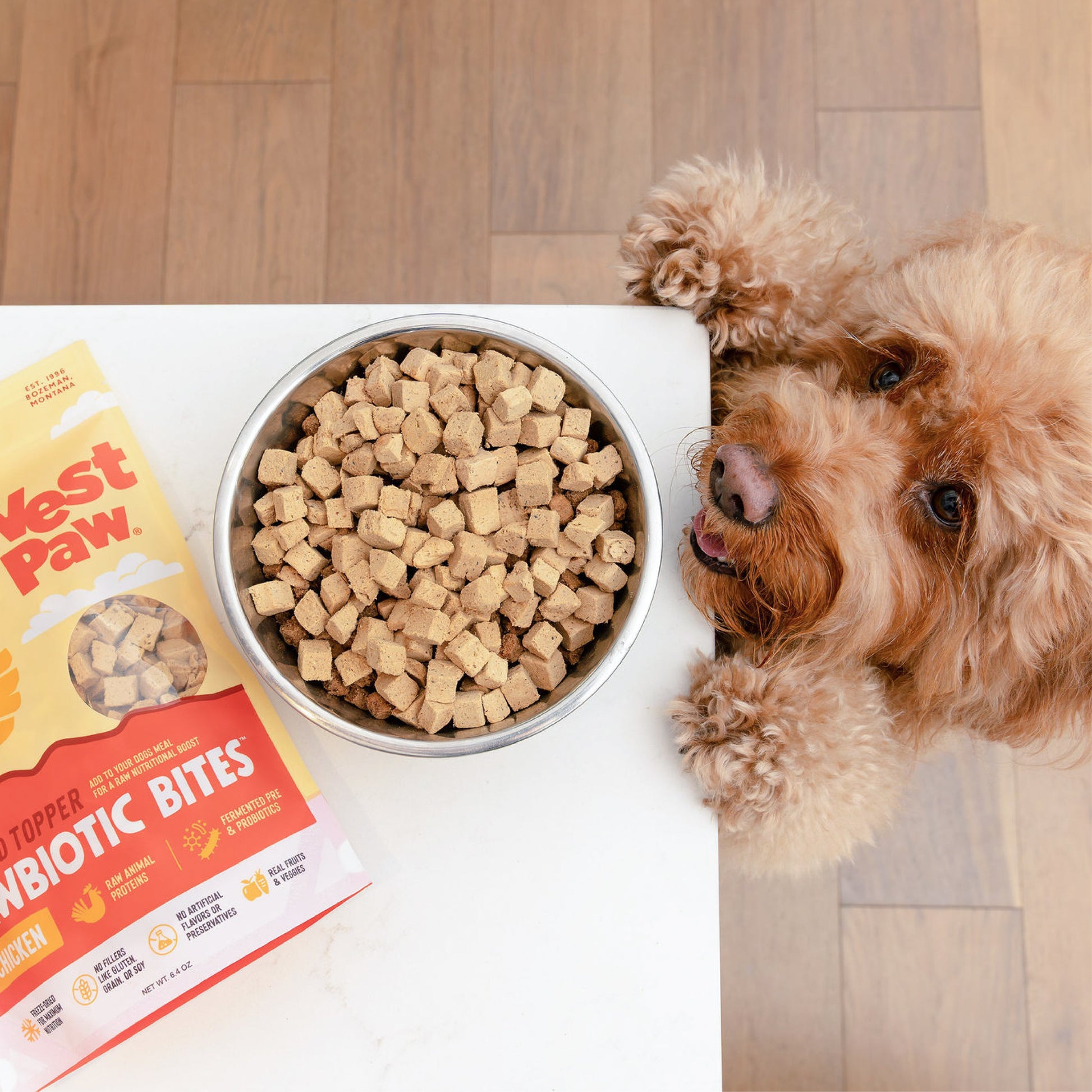 Dog looking at a bowl of dog food with a West Paw treat package on a wooden floor.