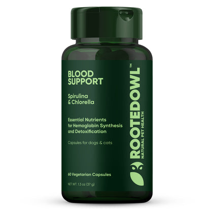 Green supplement bottle labeled 'Blood Support' with 'Rooted Owl' branding on a white background