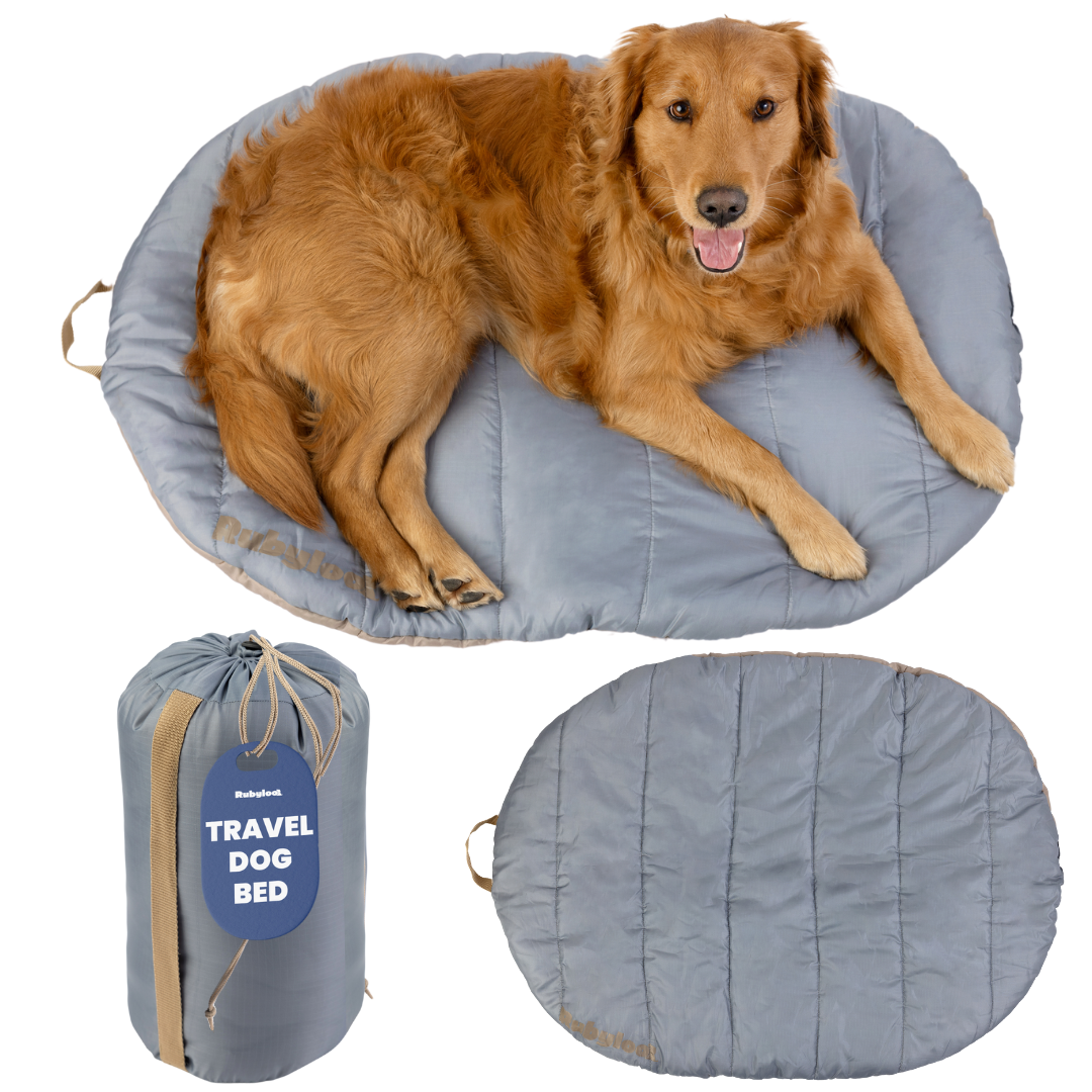 Dog lying on a gray travel dog bed with an open bed and packaging shown below.