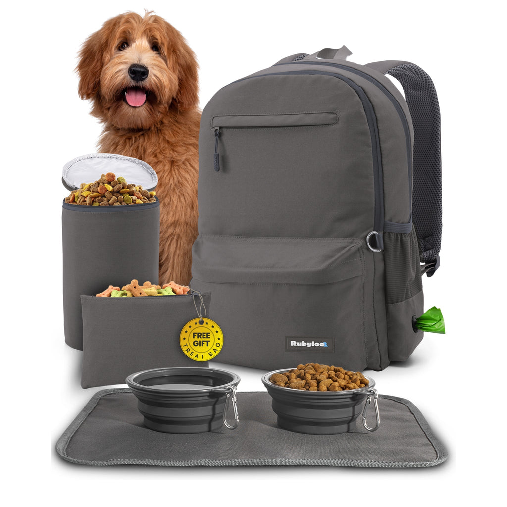 Dog with pet food, backpack, and travel accessories on a white background