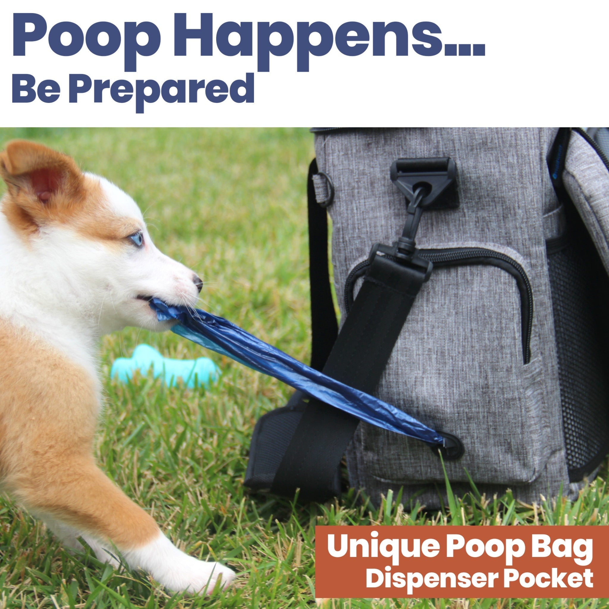Dog with a poop bag dispenser pocket on a backpack, with text 'Poop Happens.