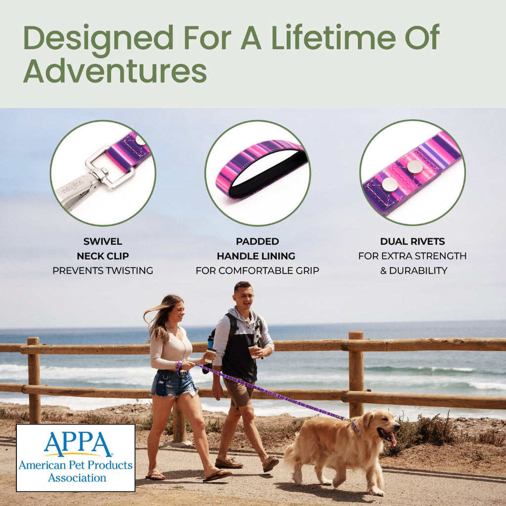 Two people walking a dog on a leash with product features highlighted, set against a beach backdrop.