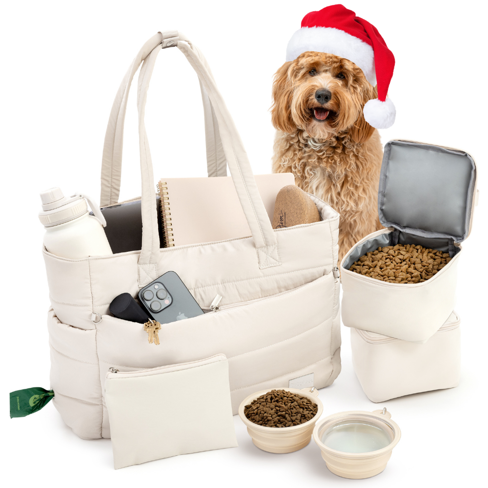 Dog with a Santa hat next to a white tote bag and pet food containers on a white background