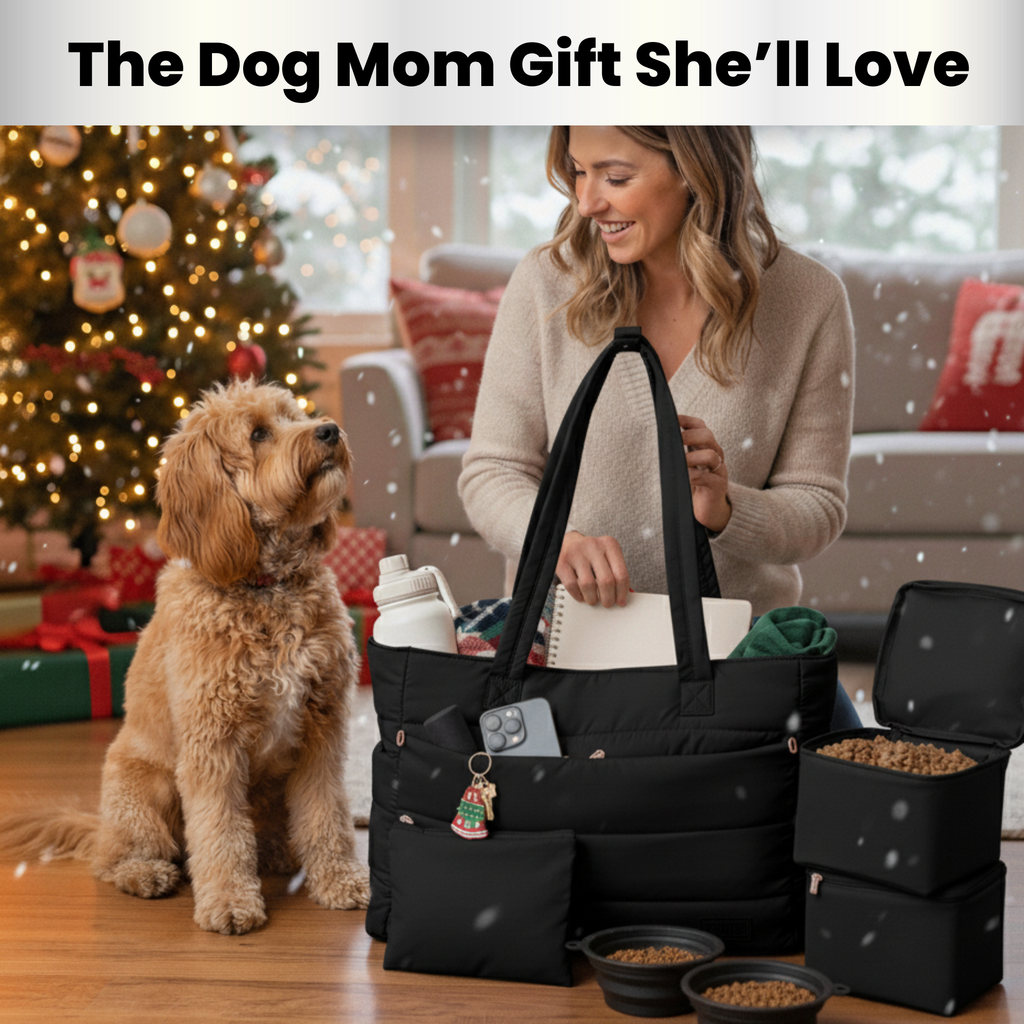 Woman with a black pet carrier and supplies next to a dog, with a Christmas tree in the background.