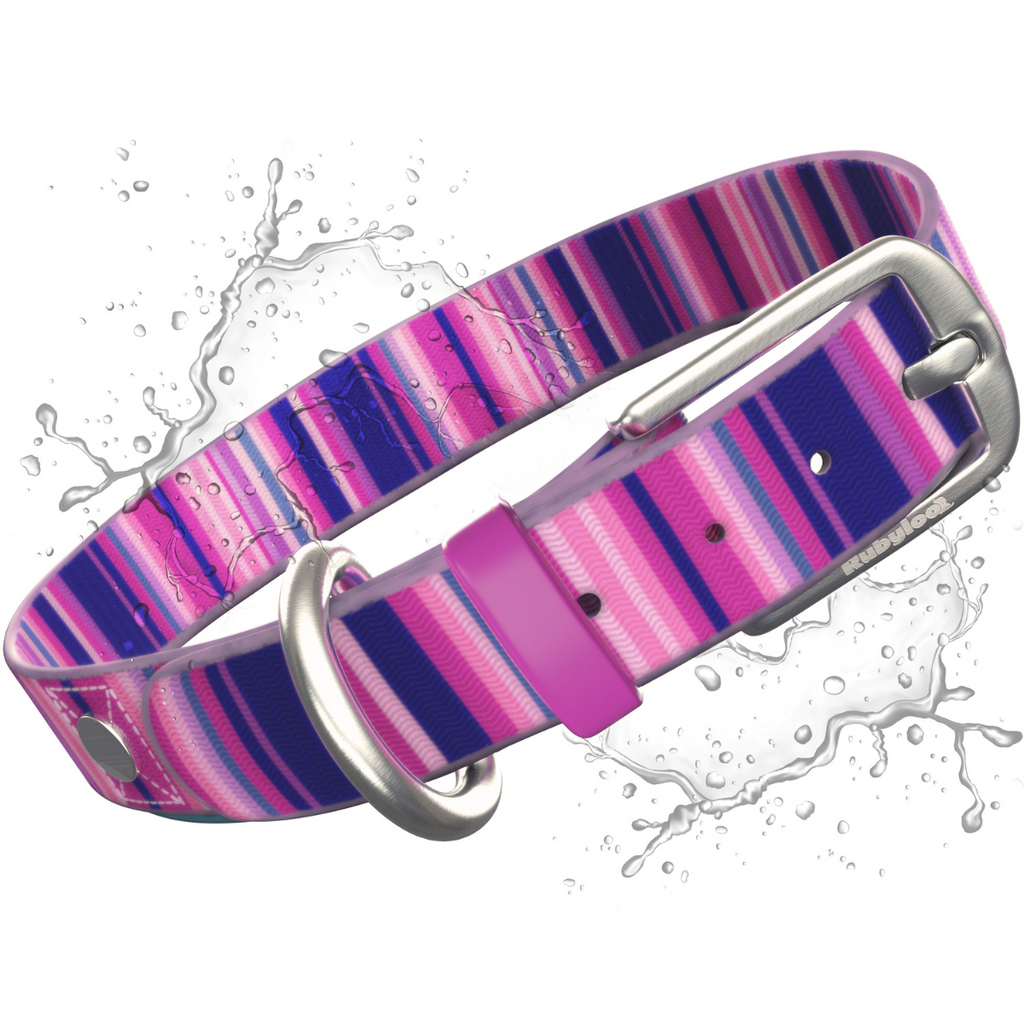 Pink and purple striped dog collar with water splashes on a white background