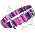 Pink and purple striped dog collar with water splashes on a white background