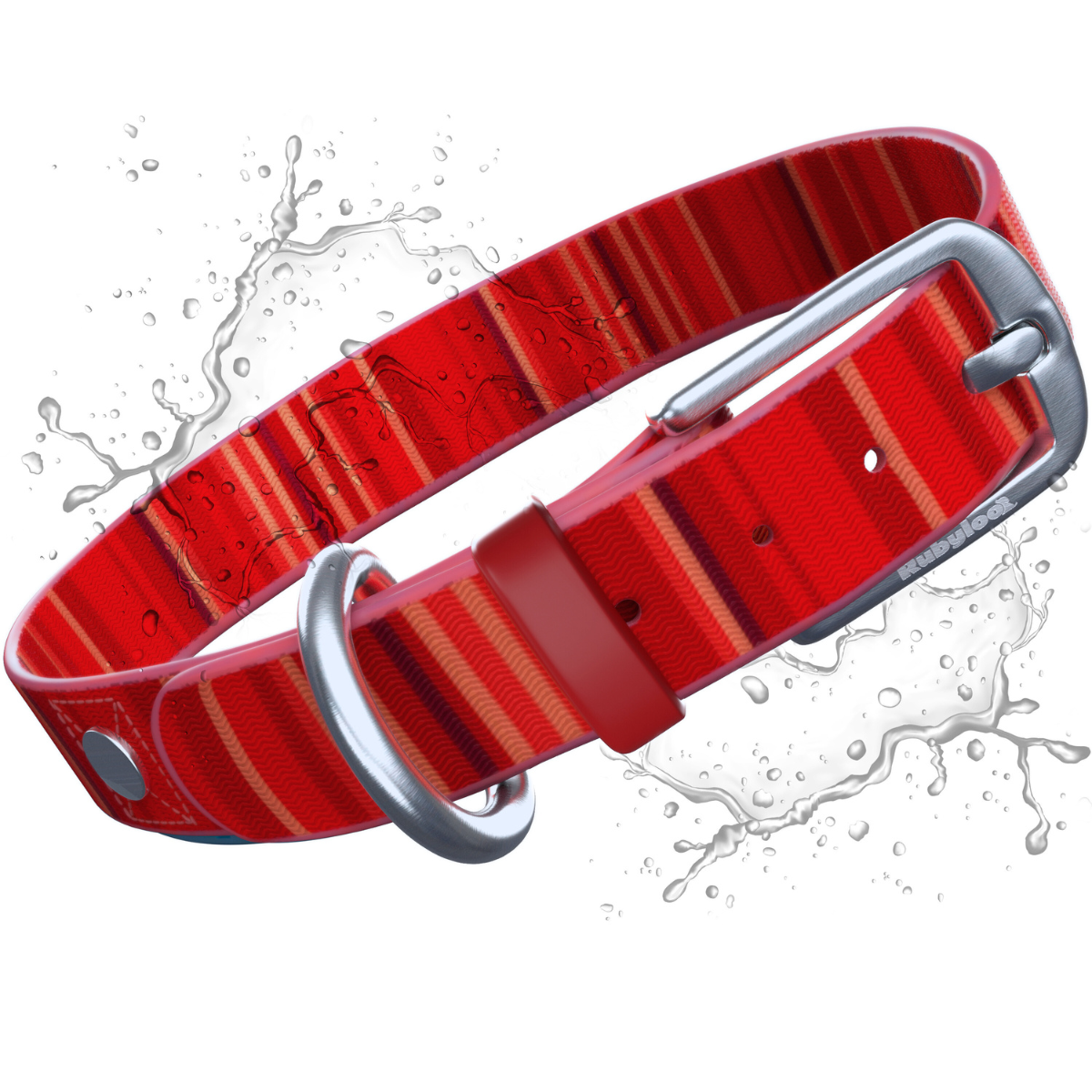 Red striped dog collar with silver buckle on a white background