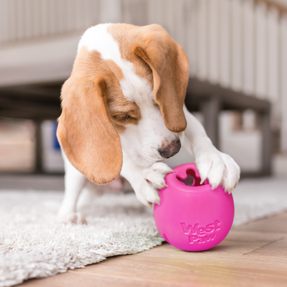 Dog playing with a pink West Paw toy on a wooden floor.
