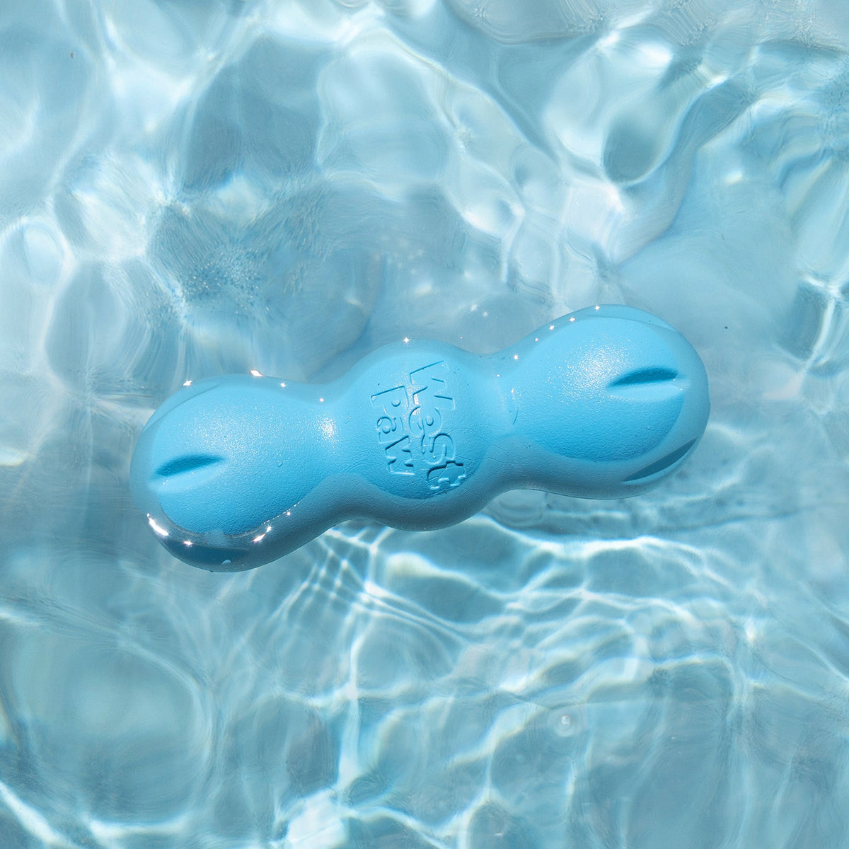Blue dog toy floating in clear water