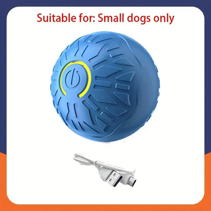 Blue ball with USB cable on a white background, suitable for small dogs only.