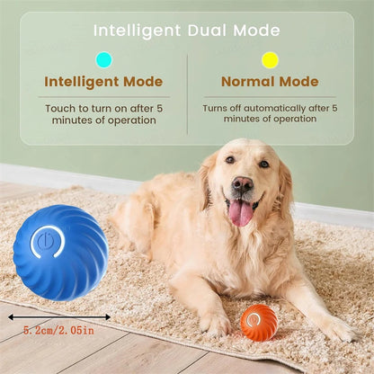 Dog lying on a carpet with a blue and orange ball, featuring text about intelligent dual mode.