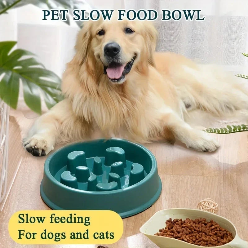 Non-Slip Slow Feeder Pet Bowl for Dogs & Cats – Healthy Eating