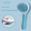 Sky blue hair removal comb with text on a light blue background