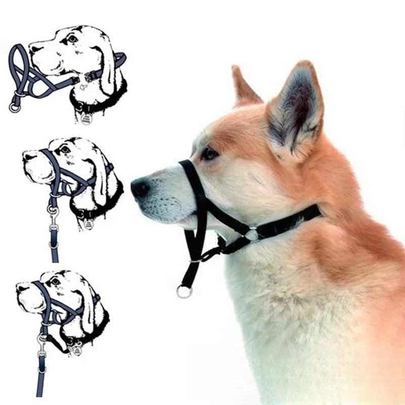 Adjustable Dog Muzzle Halter & Training Collar – Anti-Barking, Anti-Bite Nylon Harness Leash