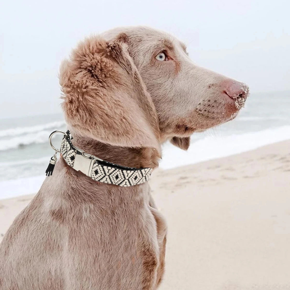 Bohemian Ethnic Style Pet Collars – Adjustable, Durable, Trendy | Whisker House