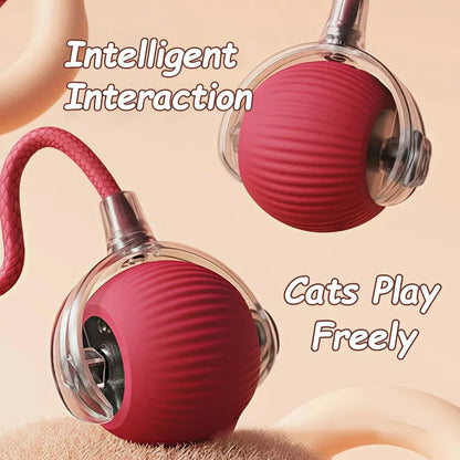 Two red cat toys with wheels on a beige background, labeled 'Intelligent Interaction' and 'Cats Play Freely'.
