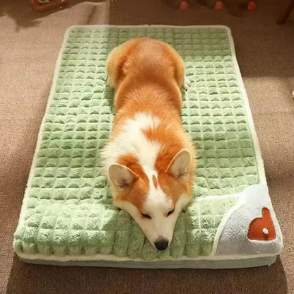 Corgi lying on a green pet bed with a fox design.