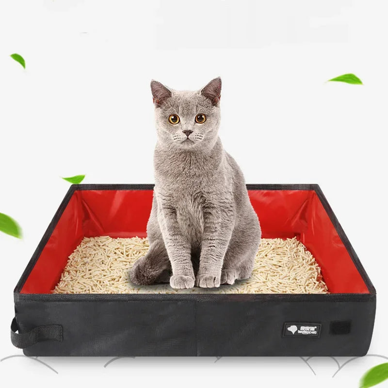 Cat sitting inside a black and red pet litter box on a white background