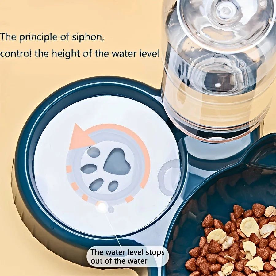 3 in 1 Cat Food Bowl with Water Feeder – Tilted Pet Bowl Set