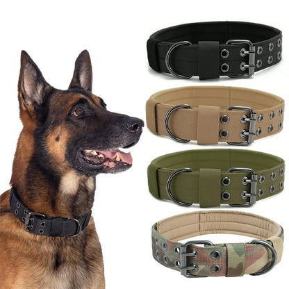 Dog wearing a black collar with four additional collars in different colors displayed above.