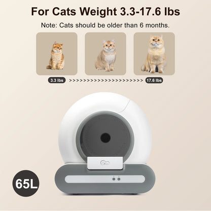 Pet product for cats with weight range and cat illustrations on a beige background