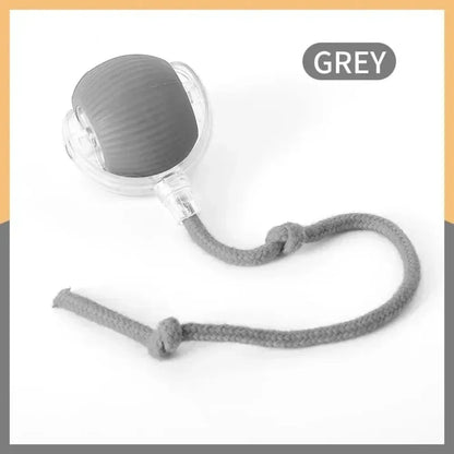 Silicone pacifier with a rope on a white background, labeled 'GREY'.
