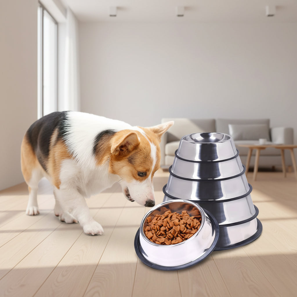 Dog with a metal food bowl containing kibble in a modern living room.