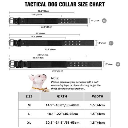 Tactical dog collar size chart with measurements and a small dog wearing a collar for scale.