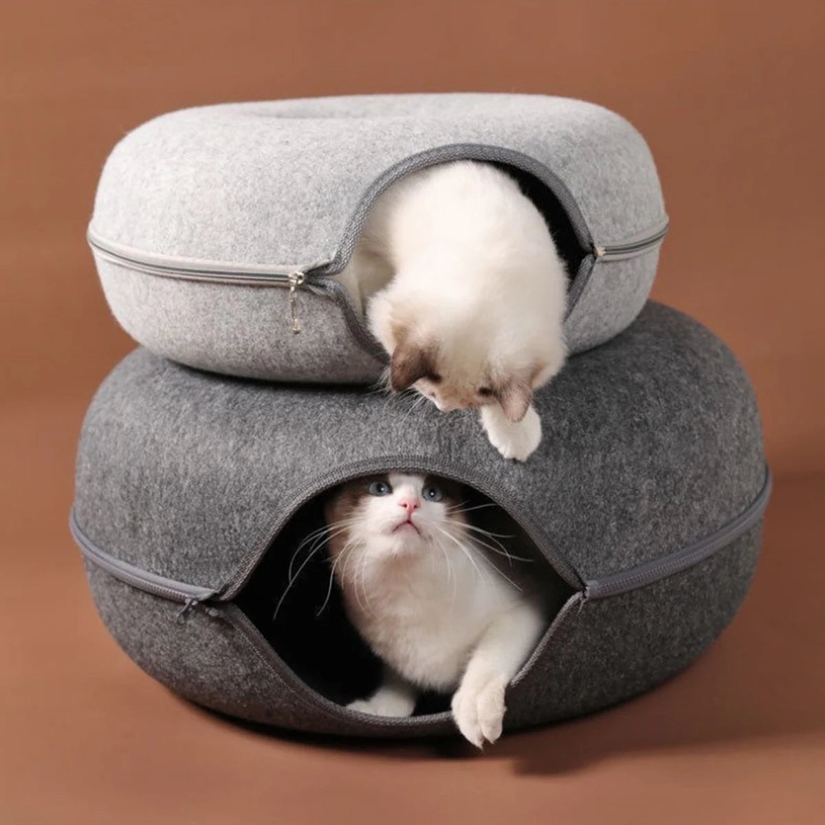 Two cats inside a stackable gray pet bed on a brown background