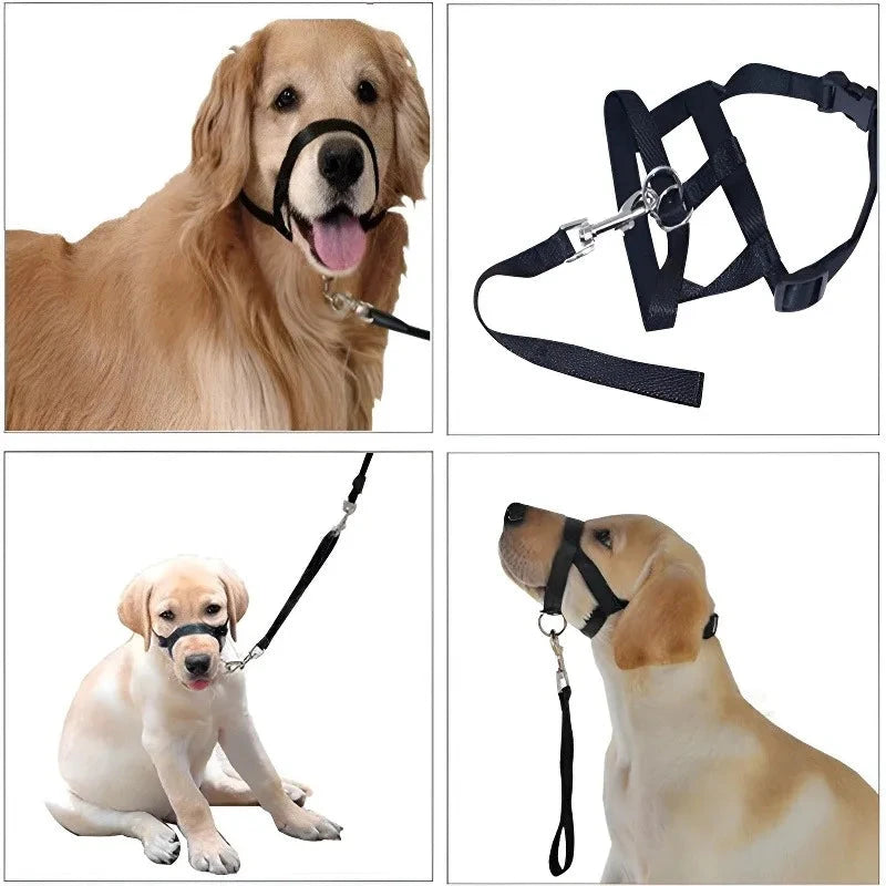 Adjustable Dog Muzzle Halter & Training Collar – Anti-Barking, Anti-Bite Nylon Harness Leash