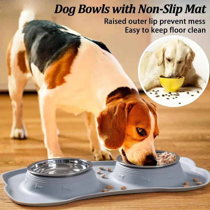 Stainless Steel Double Pet Bowl – Anti-Spill Food & Water Feeder